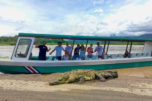 A boat with tourists next to a crocodile during a Tarcoles River excursion near Jaco Beach Costa Rica