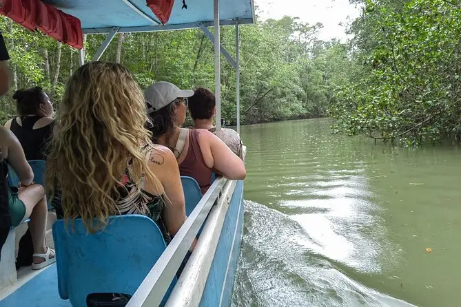 Scenic view of the mangrove forest at Damas Island, taken from a boat during a Jaco monkey mangrove tour in Costa Rica